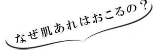 なぜ肌あれはおこるの？